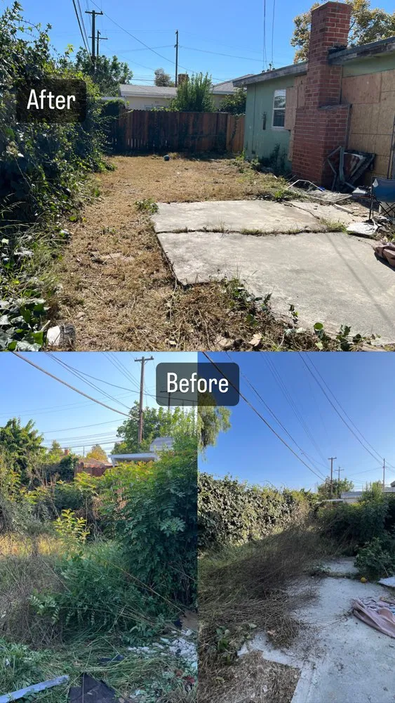 Expert lawn mowing service for outdoor upgrades in San Pedro, CA by C.O.N.D.I