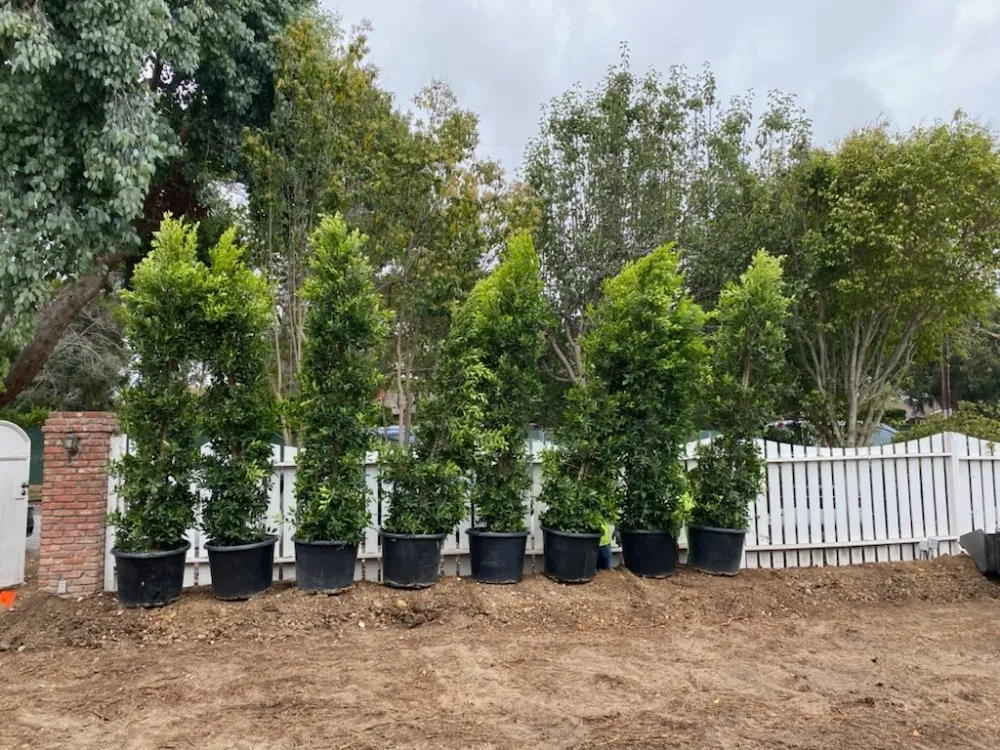 Custom lawn care service in Westlake Village, CA by Conejo Complete Landscape