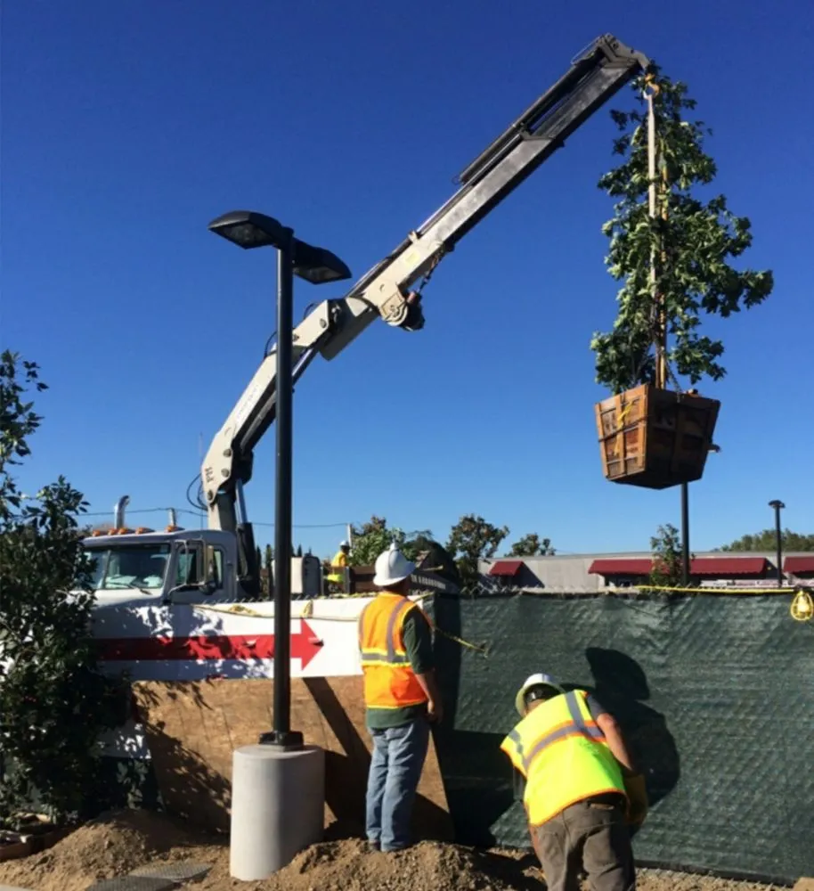 Professional yard maintenance in Westlake Village, CA - Conejo Complete Landscape
