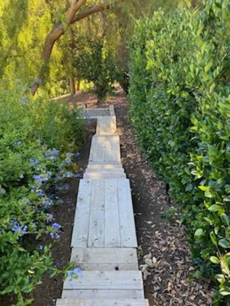 Affordable yard maintenance in Westlake Village, CA - Conejo Complete Landscape