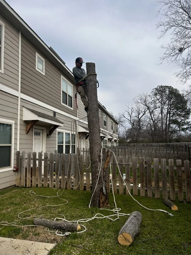 Affordable lawn mowing service in Lewisville, TX by Conejo Irrigation & Landscape