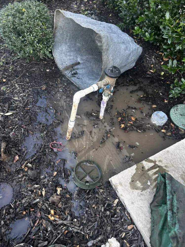 Professional lawn mowing service experts serving Lewisville, TX - Conejo Irrigation & Landscape