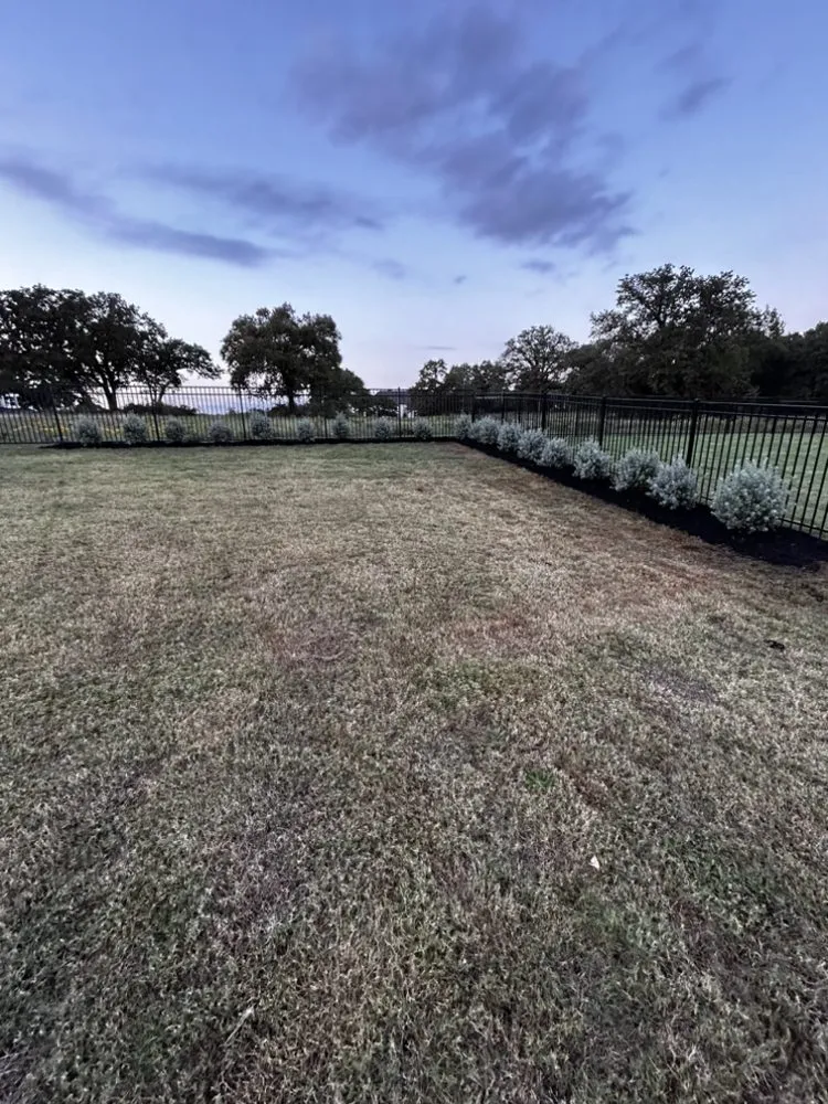 Trusted yard cleanup service near you in Lewisville, TX by Conejo Irrigation & Landscape