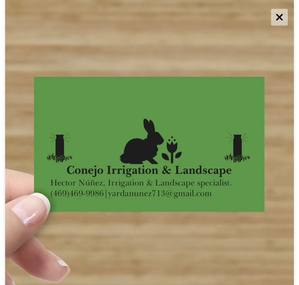 Custom yard cleanup service in Lewisville, TX - Conejo Irrigation & Landscape