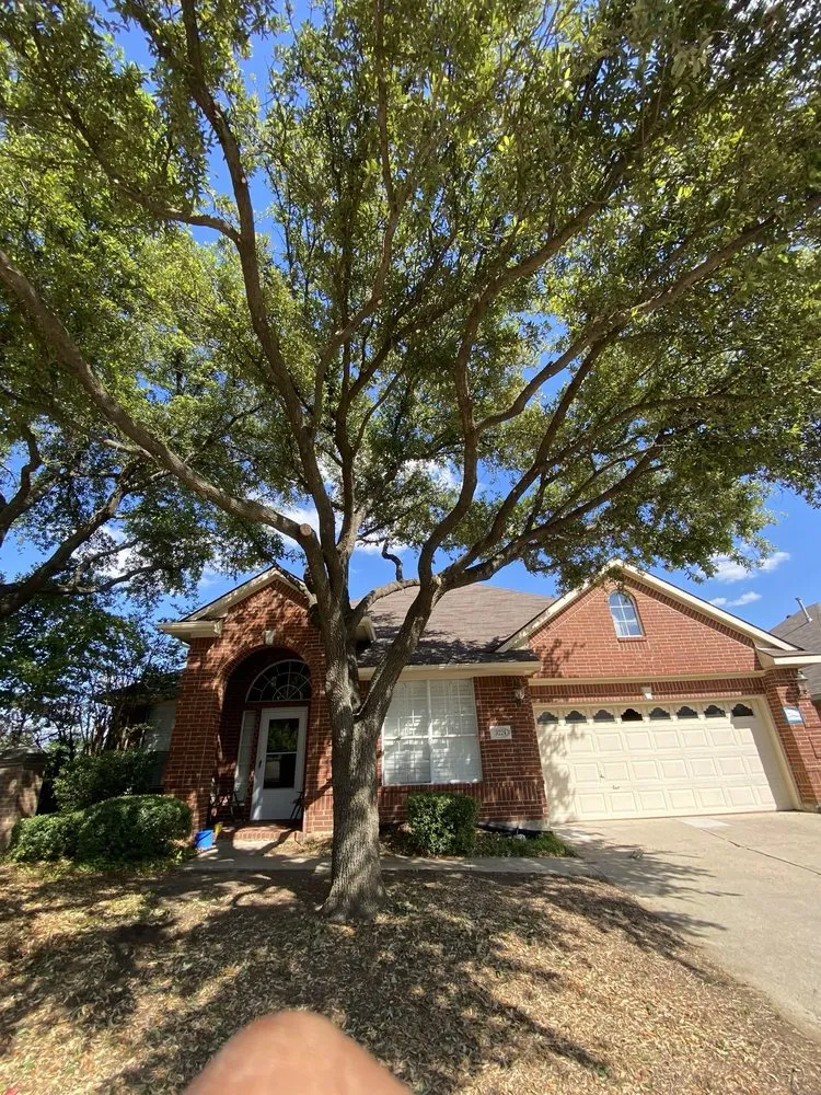 Expert garden landscaping experts serving Lewisville, TX - Conejo Irrigation & Landscape