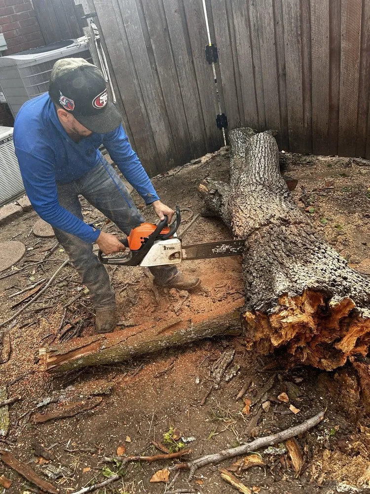 Expert residential landscaping near you across Lewisville, TX - Conejo Irrigation & Landscape