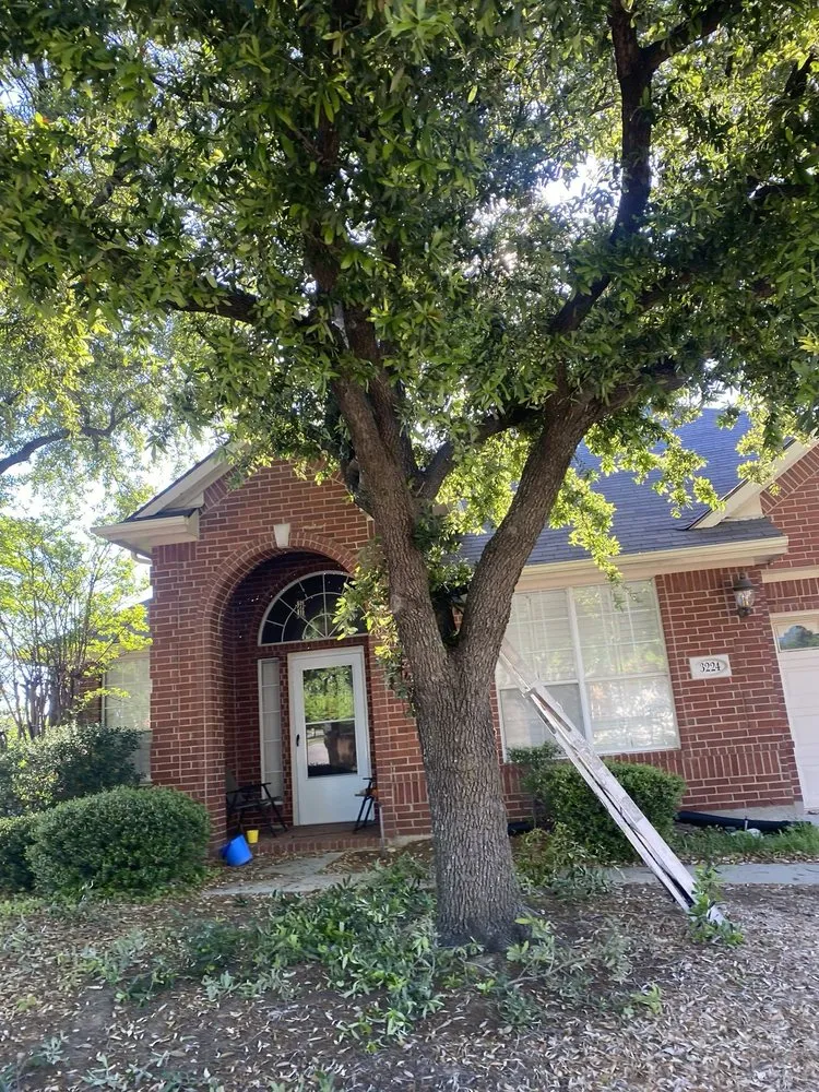 Professional garden landscaping experts serving Lewisville, TX - Conejo Irrigation & Landscape