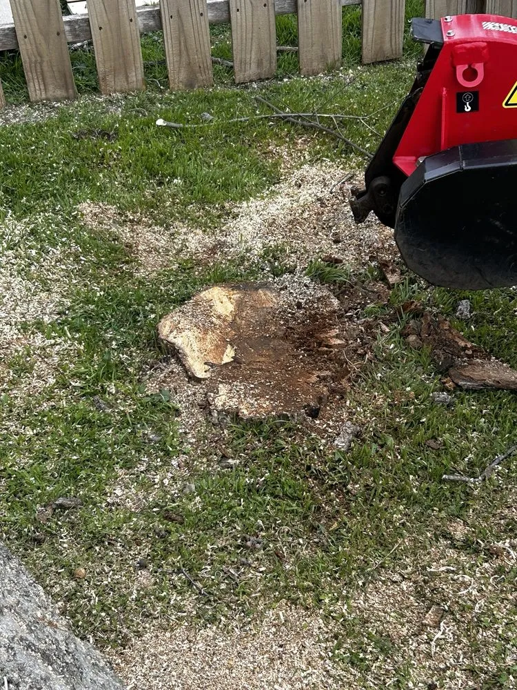 Reliable landscape design with custom design in Lewisville, TX by Conejo Irrigation & Landscape