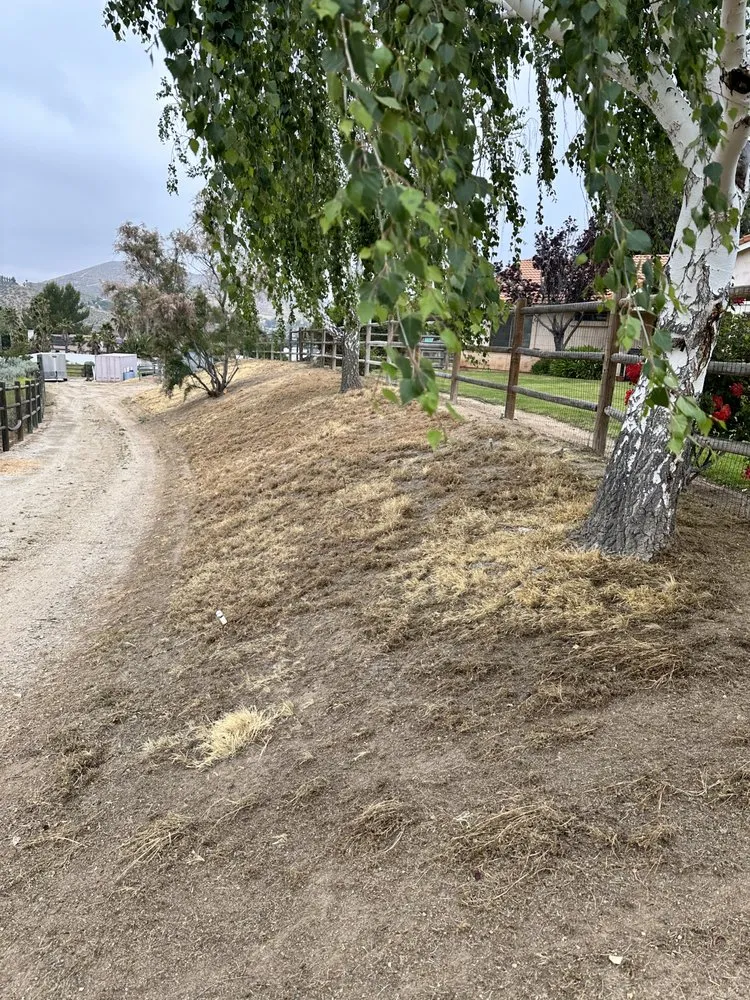 Expert outdoor landscaping in Lake Los Angeles, CA by Conejos Landscaping