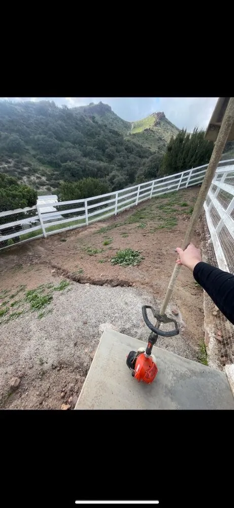 Affordable yard maintenance experts serving Lake Los Angeles, CA - Conejos Landscaping