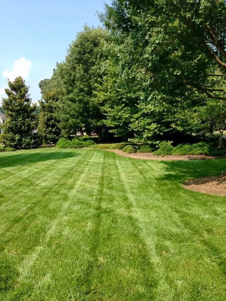 Affordable landscape installation with custom design in Johnstown, PA by Conemaugh Landscaping