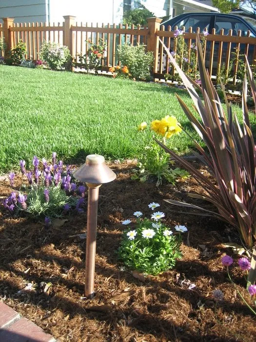 Trusted landscaping services experts serving San Mateo, CA - Coney Landscaping