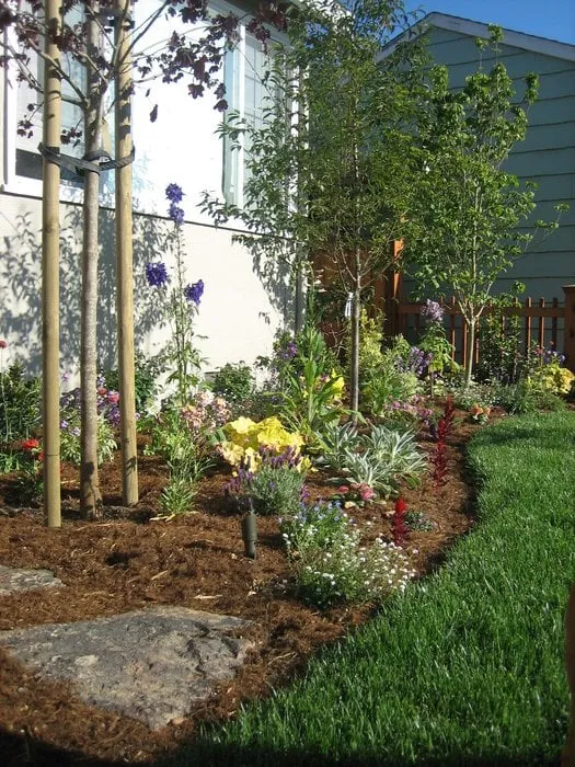 Local residential landscaping experts serving San Mateo, CA - Coney Landscaping