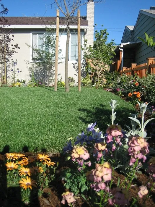 Reliable landscape installation in San Mateo, CA - Coney Landscaping