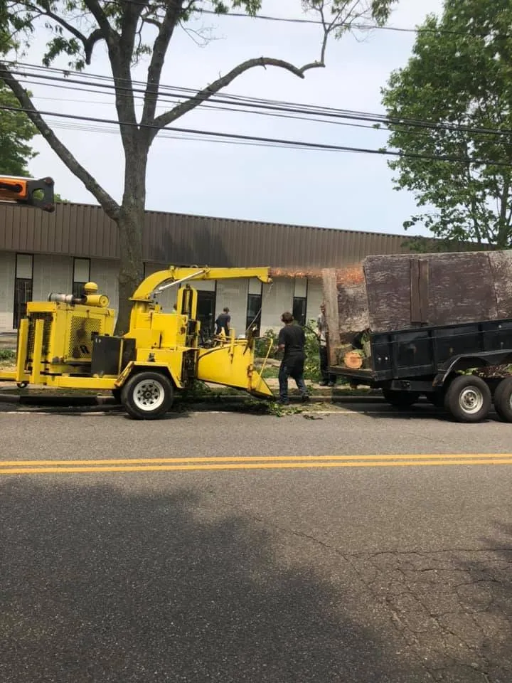 Reliable lawn care service in Sayville, NY - Confer Haase Landscaping