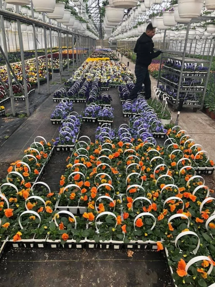 Top-rated yard maintenance in Sayville, NY - Confer Haase Landscaping