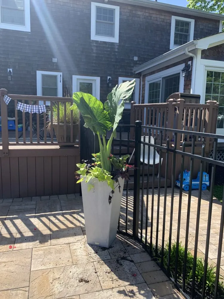 Custom lawn mowing service in Ronkonkoma, NY - Confer HAASE