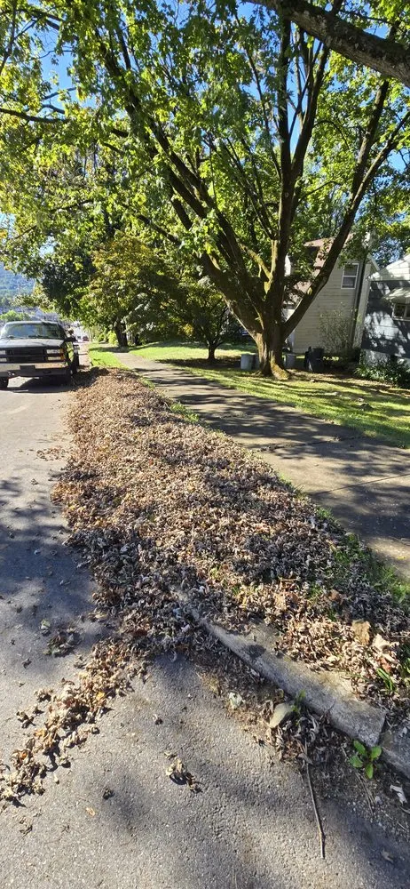 Expert landscaping services for year-round maintenance across Williamsport, PA - Confer's Lawn Care Service