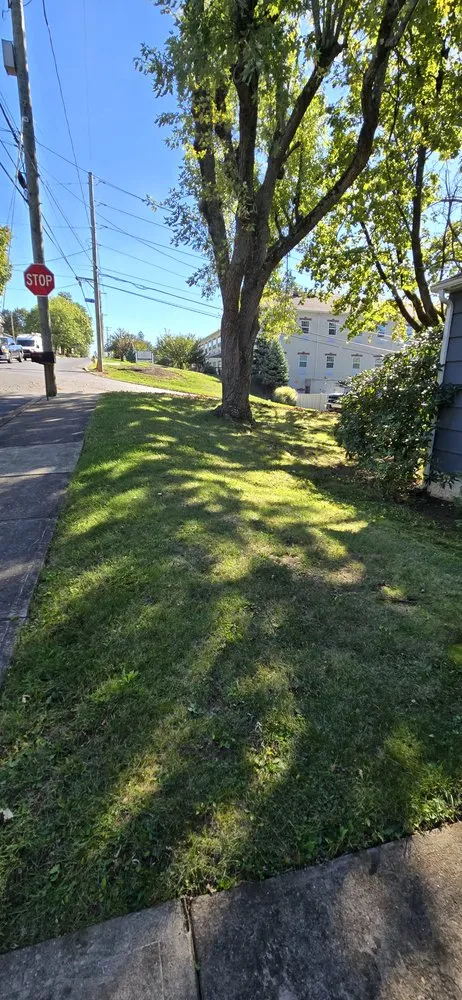 Custom lawn care service for residential properties in Williamsport, PA by Confer's Lawn Care Service