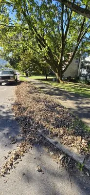 Confer's Lawn Care Service