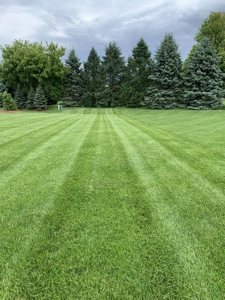 Professional landscape design for year-round maintenance in Elgin, IL by Conga Landscaping