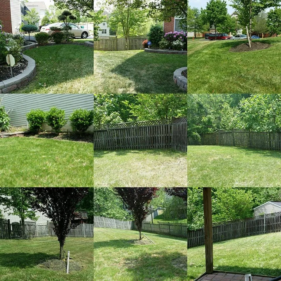 Custom residential landscaping for residential properties in Clinton, MD by Congressional Power Services