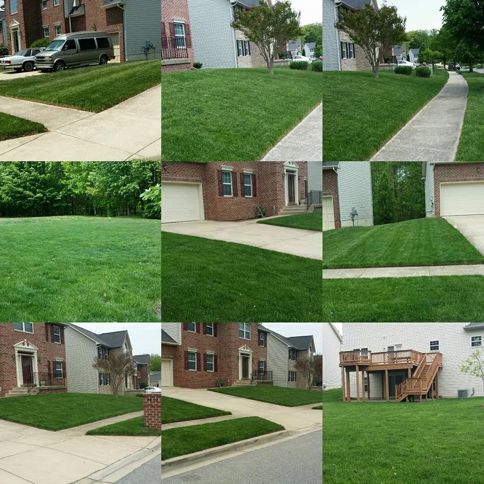 Affordable lawn care service in Clinton, MD - Congressional Power Services