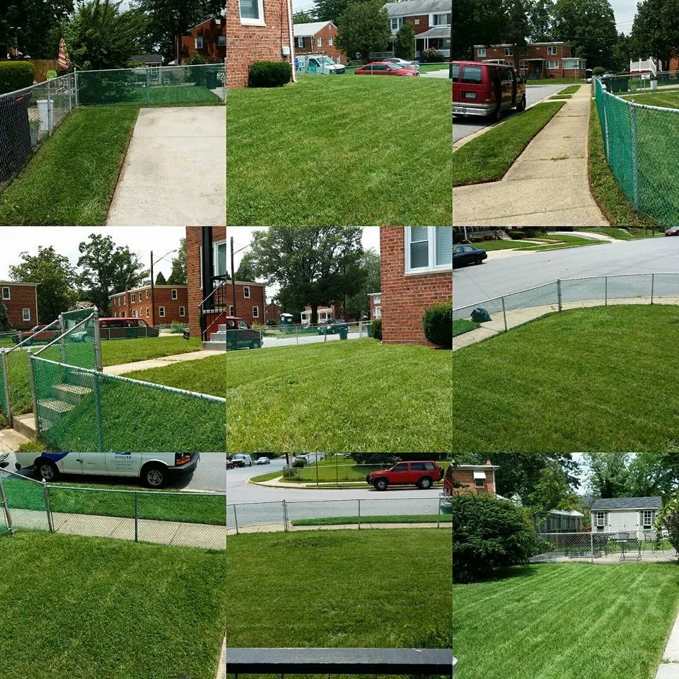 Expert yard maintenance experts serving Clinton, MD - Congressional Power Services