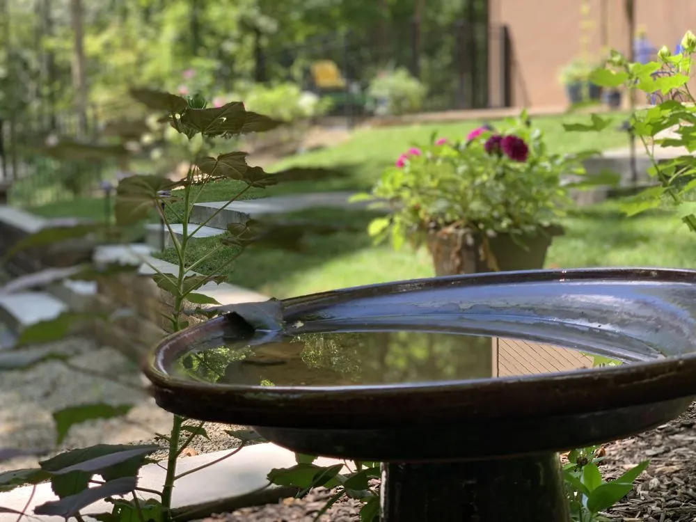 Professional lawn care service for homes in Springfield, OH by Conklin Landscape Solutions