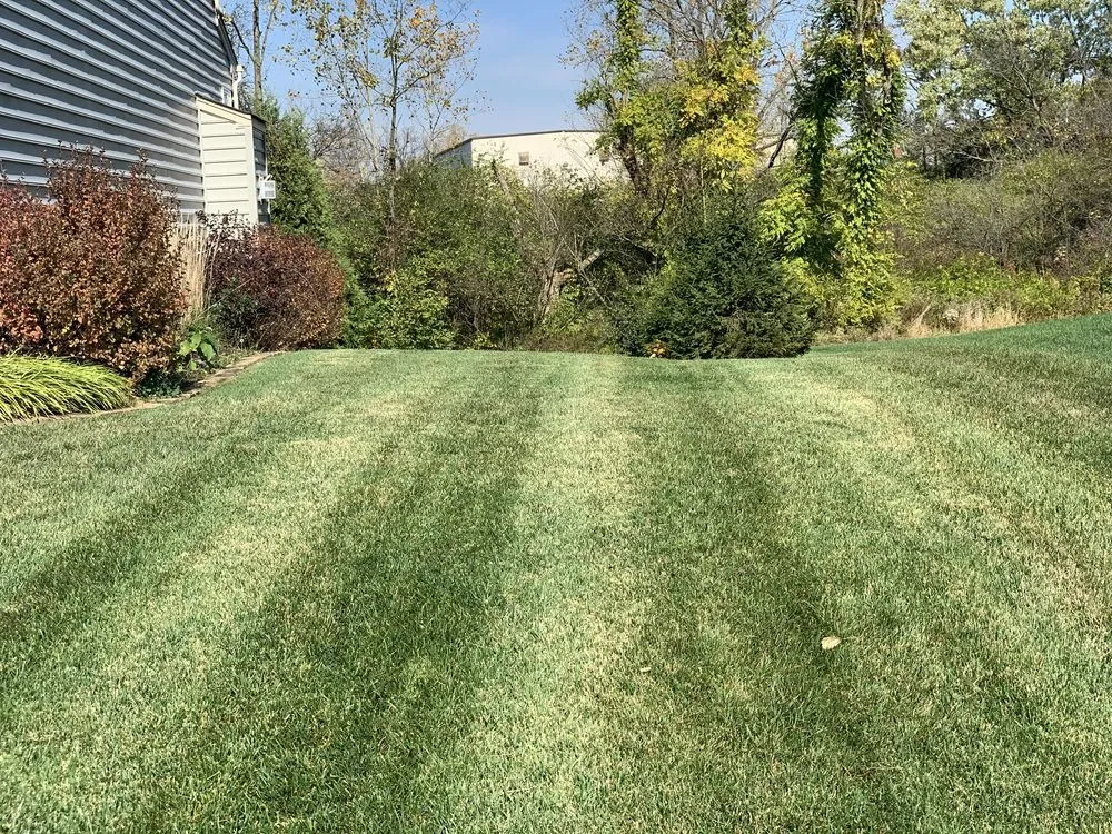 Top-rated landscape installation in Springfield, OH - Conklin Landscape Solutions