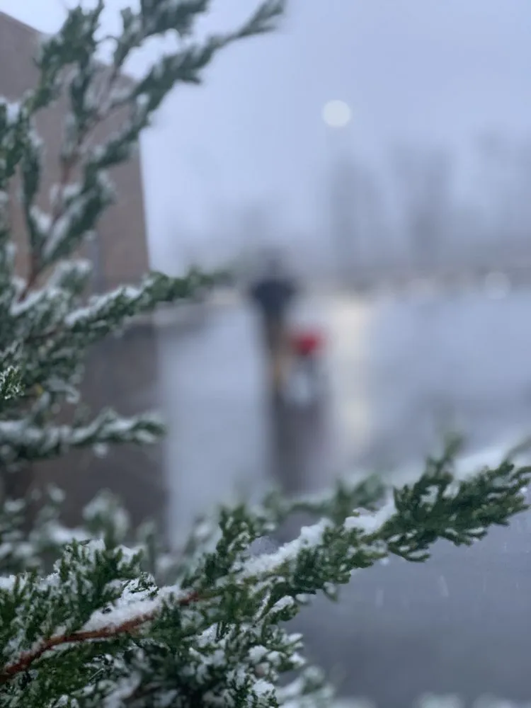 Top-rated landscape installation in Springfield, OH - Conklin Landscape Solutions