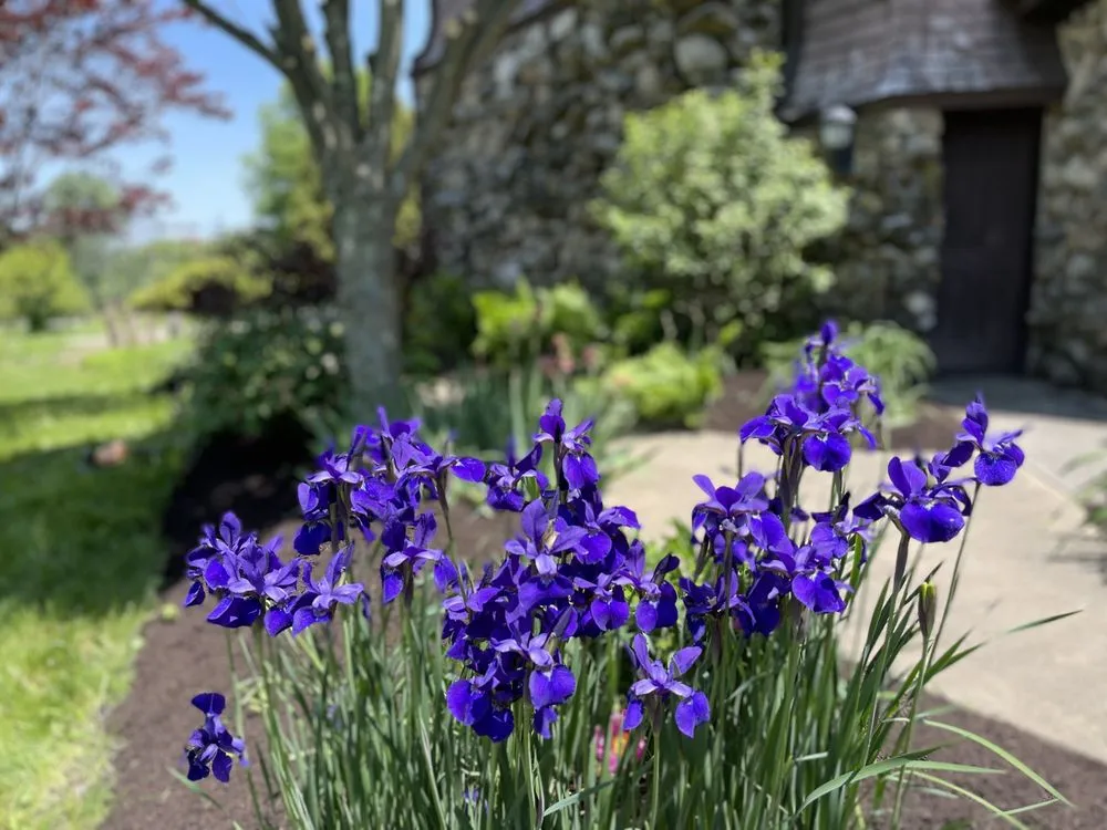 Custom lawn care service for residential properties across Springfield, OH - Conklin Landscape Solutions