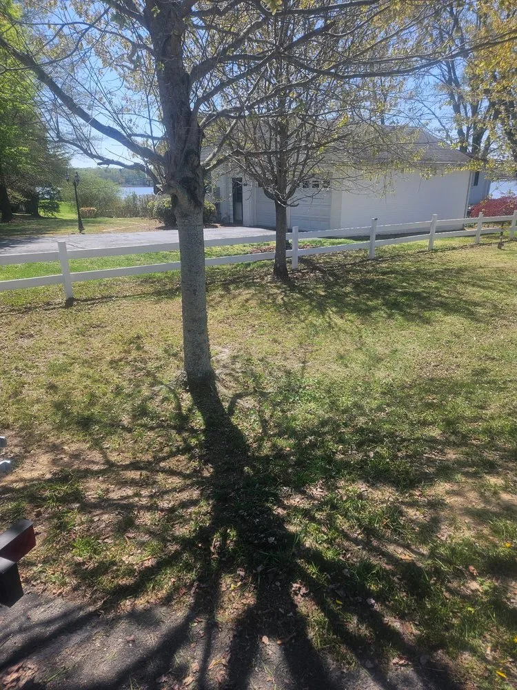 Reliable lawn care service for beautiful yards across King George, VA - Conklin Lawncare