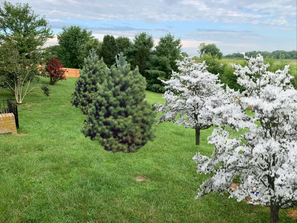 Expert residential landscaping for outdoor upgrades in Mount Sterling, KY by Conlee ProLawn & Landscape