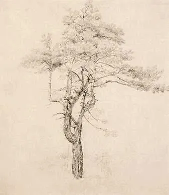 Conley Harrison & McClellan Inc. Logo