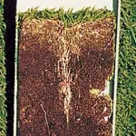 Reliable yard cleanup service in Mequon, WI by Conley Harrison & McClellan