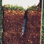 Professional landscaping services for residential properties in Mequon, WI by Conley Harrison & McClellan