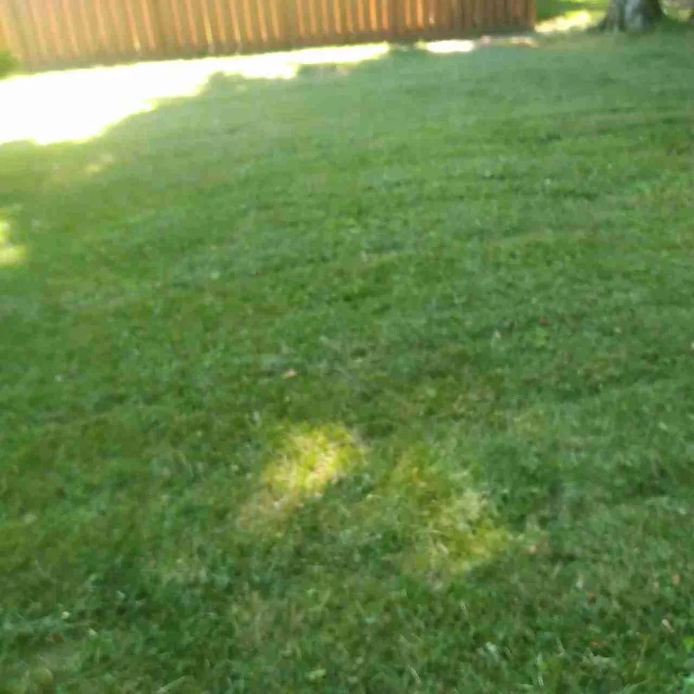Top-rated lawn care service for beautiful yards in Akron, OH by Conley Lawn Care