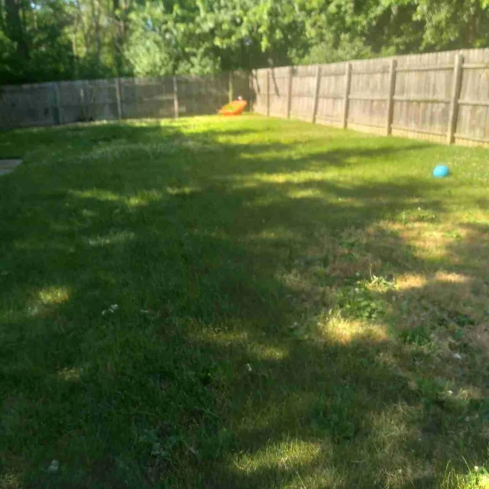 Custom yard cleanup service experts serving Akron, OH - Conley Lawn Care