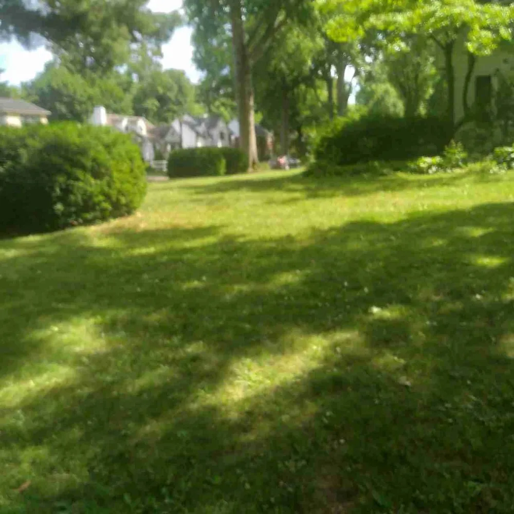 Affordable residential landscaping experts serving Akron, OH - Conley Lawn Care