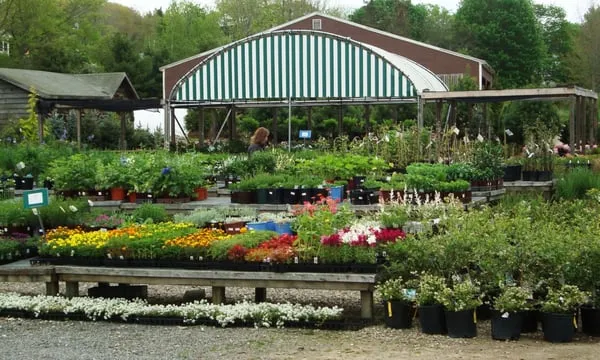 Conley's Garden Center and Landscaping