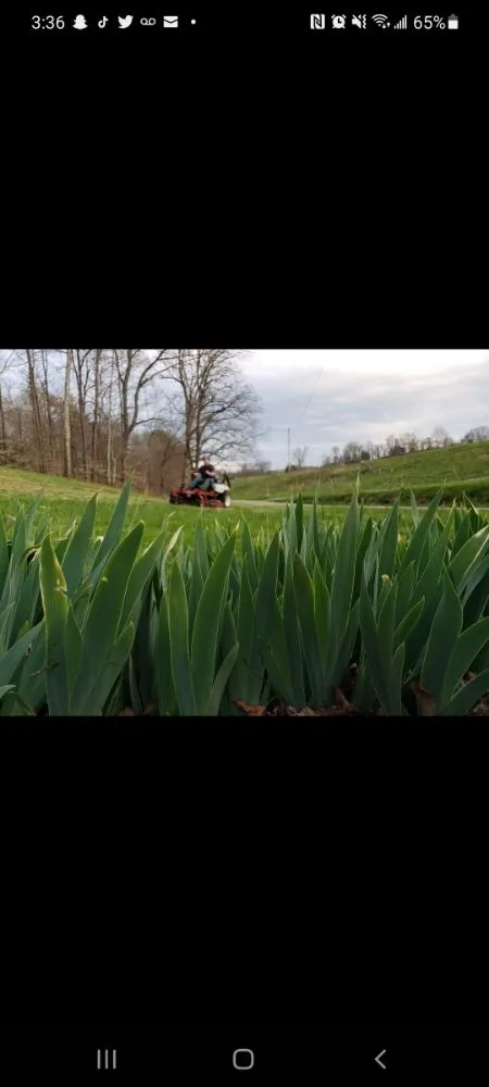 Custom garden landscaping for beautiful yards across Rutledge, TN - Conley's Landscaping