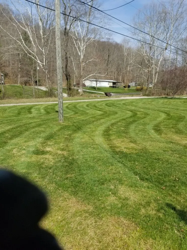 Affordable yard cleanup service in Hillsboro, KY - Conley's Lawn Care
