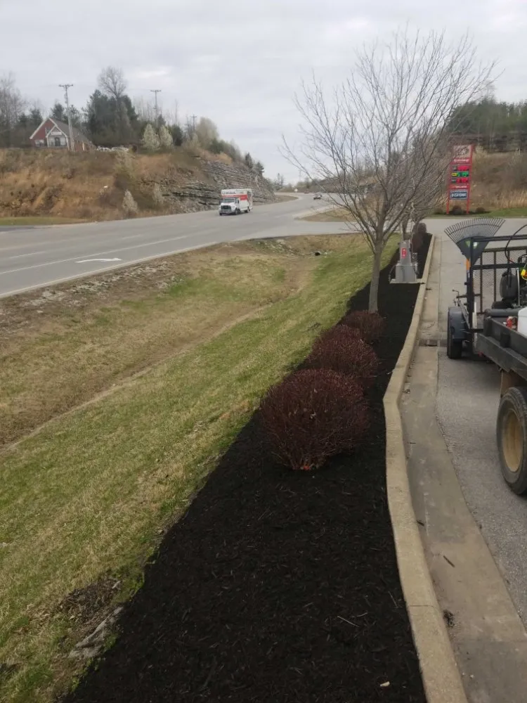 Professional residential landscaping experts serving Hillsboro, KY - Conley's Lawn Care