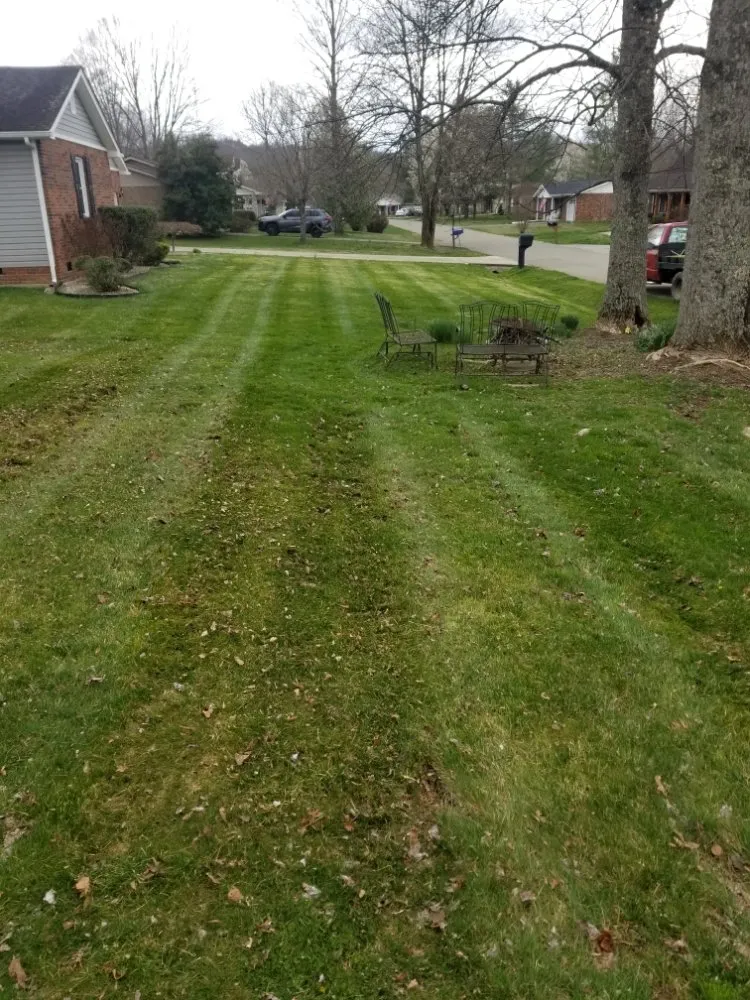 Expert yard maintenance in Hillsboro, KY - Conley's Lawn Care