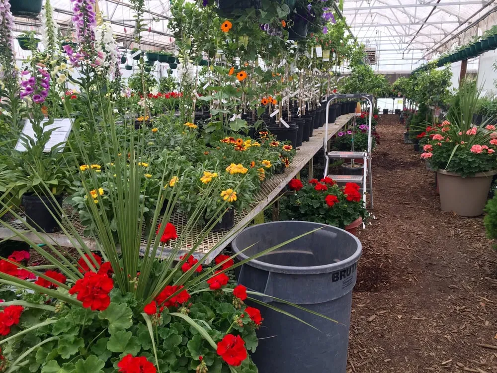 Professional outdoor landscaping experts serving Ruidoso Downs, NM - Conley's Nursery & Landscaping