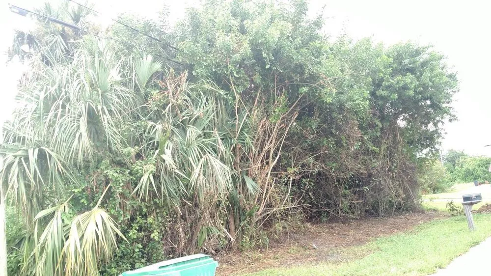 Affordable landscaping services in Sebastian, FL by Conlon Landscaping