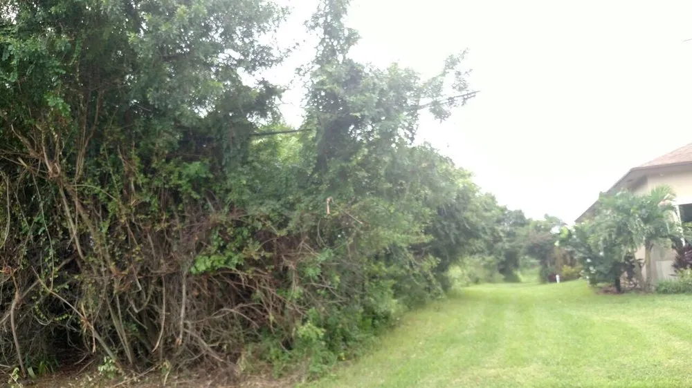 Top-rated lawn care service in Sebastian, FL by Conlon Landscaping