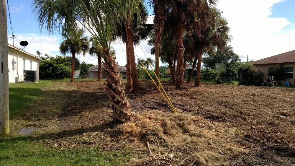 Expert landscape installation for residential properties across Sebastian, FL - Conlon Landscaping