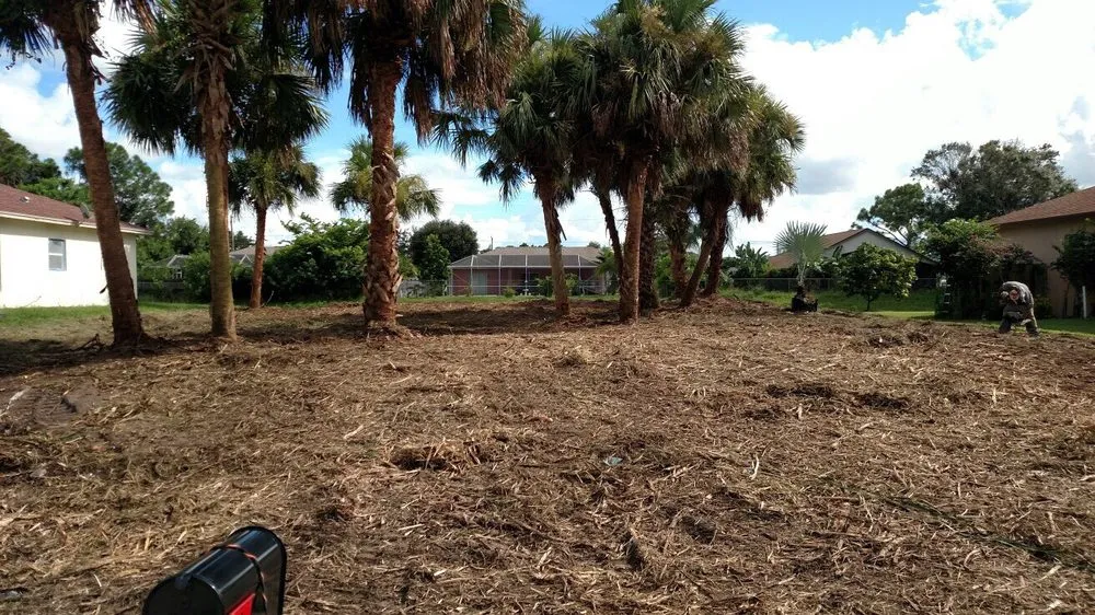 Expert landscape design for outdoor upgrades in Sebastian, FL by Conlon Landscaping